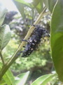 20100710220323