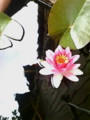 20100711215434