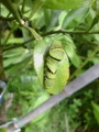 20100716221700