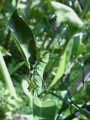 20100721230058