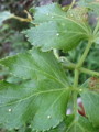 20100726233142