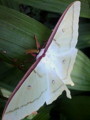 20100815220632