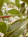 20100815220702