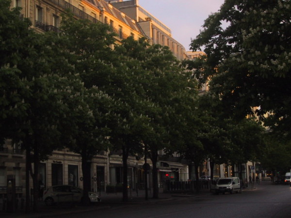 f:id:bachihebi:20120417141853j:image:w360