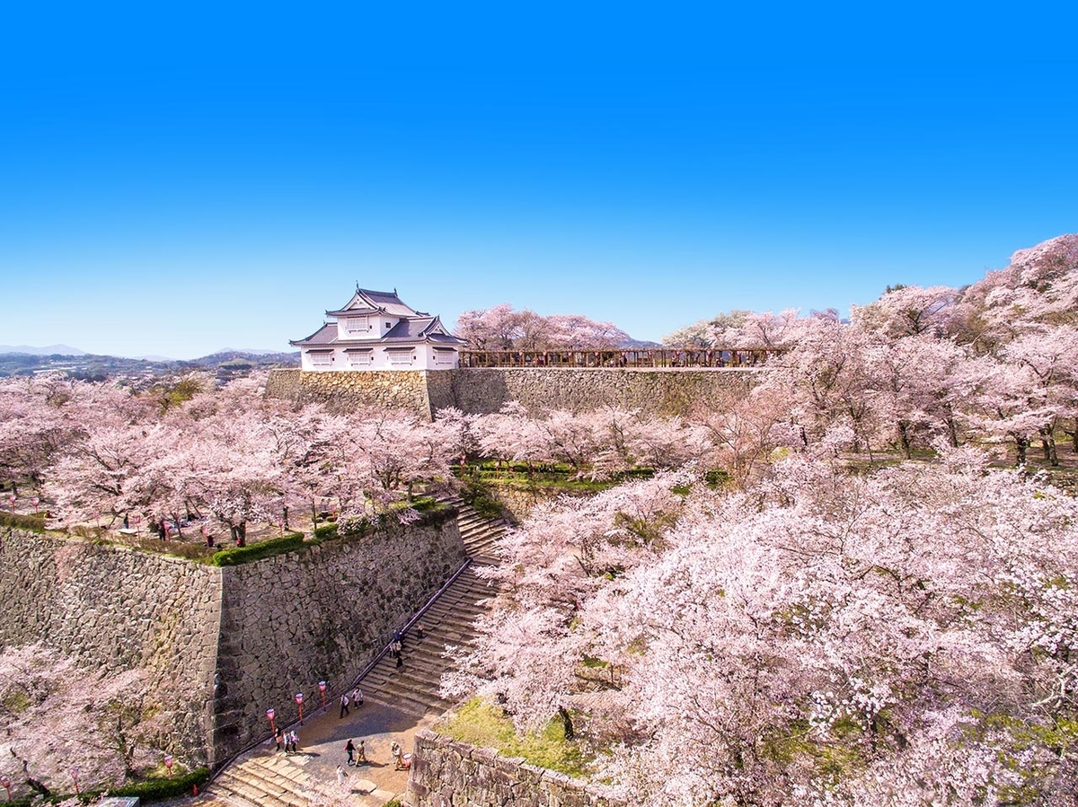 津山城址（鶴山公園）