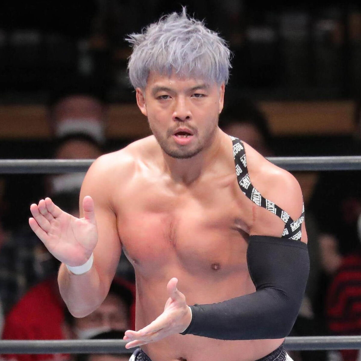 Life Story ー語るべき物語 続 論理プロレス論考