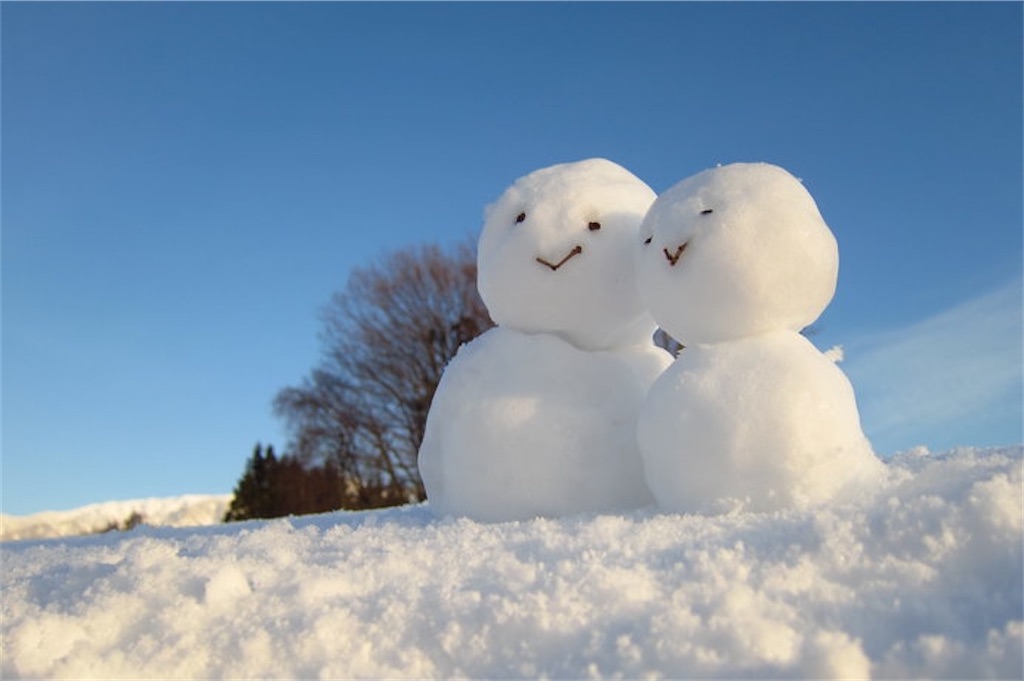 f:id:backedc:20201127181609j:image