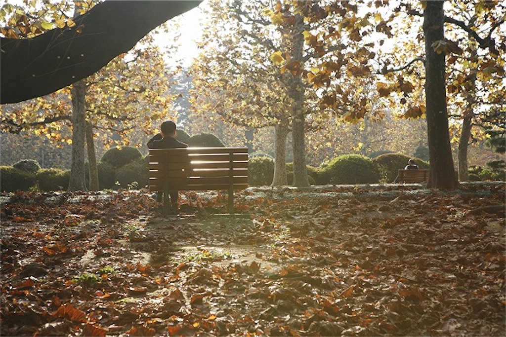 f:id:backedc:20201211202449j:image