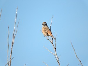 f:id:background-color:20171210114302j:plain