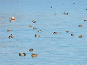 f:id:background-color:20171215083747j:plain