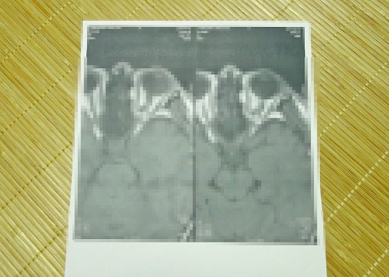 f:id:backlashfactory:20190423152457j:plain f:id:backlashfactory:20190423152457j:plain