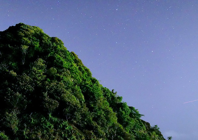 f:id:backlashfactory:20190705115711j:plain f:id:backlashfactory:20190705115711j:plain