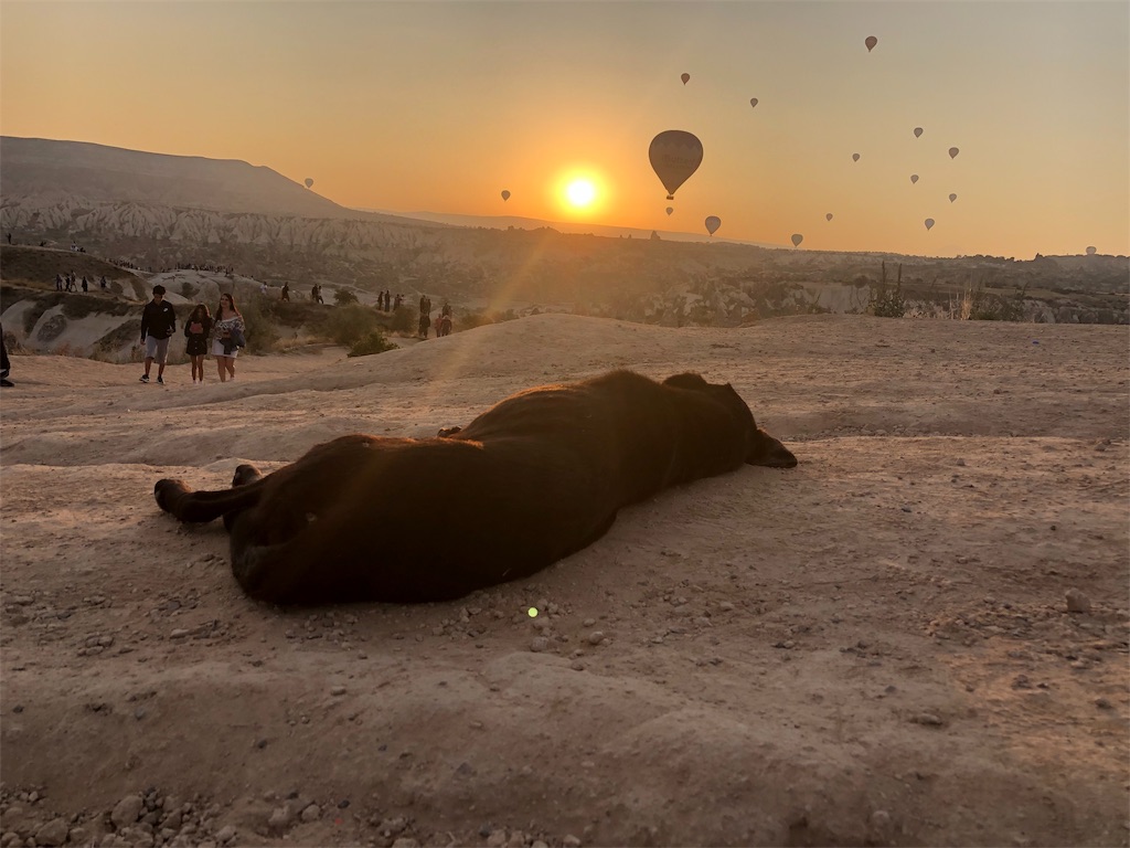 f:id:backpack51:20190903174828j:image