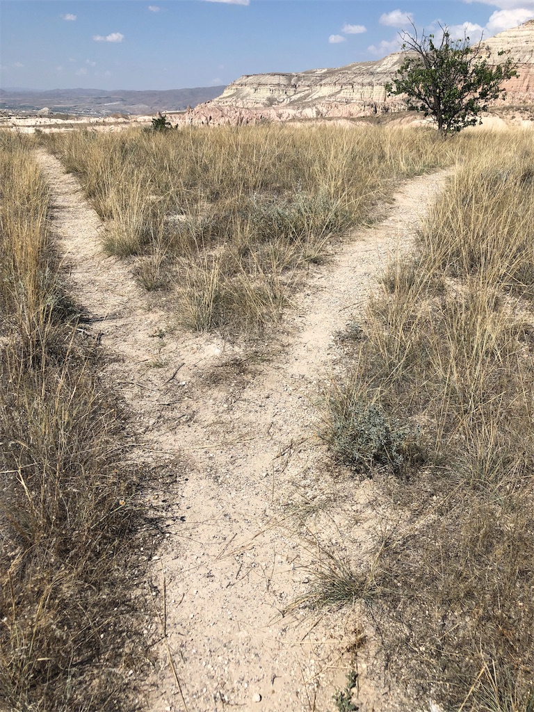 f:id:backpack51:20190903205404j:image