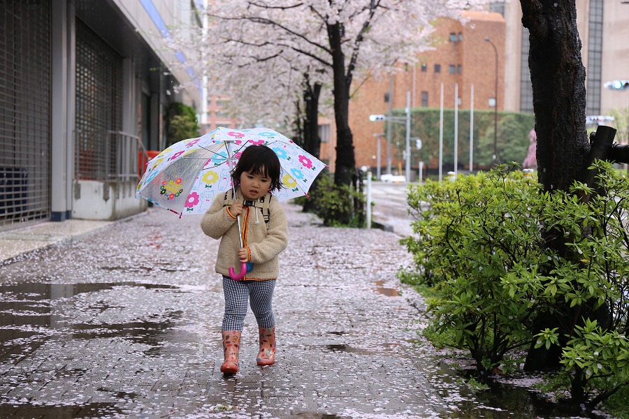 f:id:bad:20170427230528j:plain