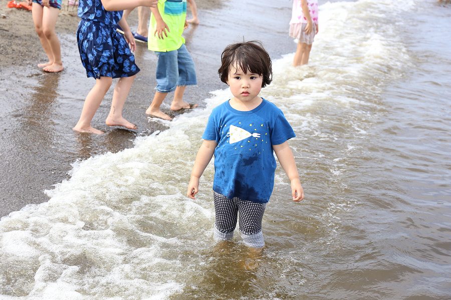 f:id:bad:20170627155947j:plain f:id:bad:20170627155947j:plain