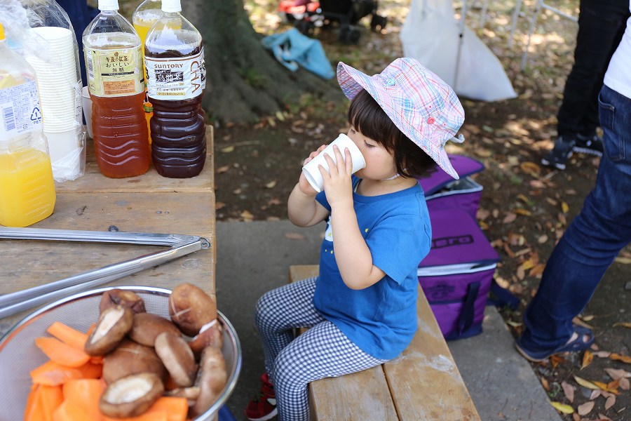 f:id:bad:20170627161715j:plain f:id:bad:20170627161715j:plain