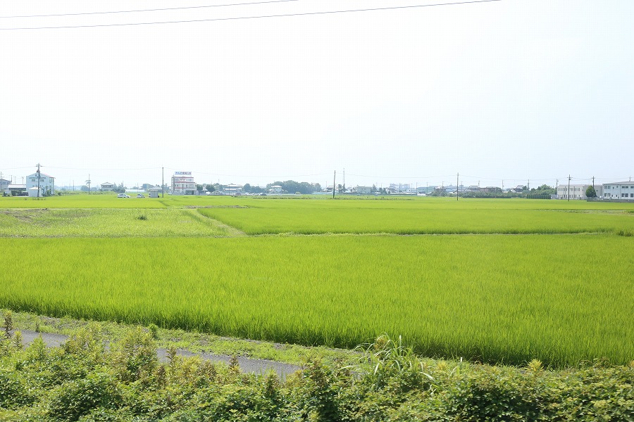 石岡に行って タカノフーズの納豆工場見学をしたら超楽しかった話 ぐるなび みんなのごはん 石岡に行って タカノフーズの納豆工場見学をしたら超楽しかった話 ぐるなび みんなのごはん