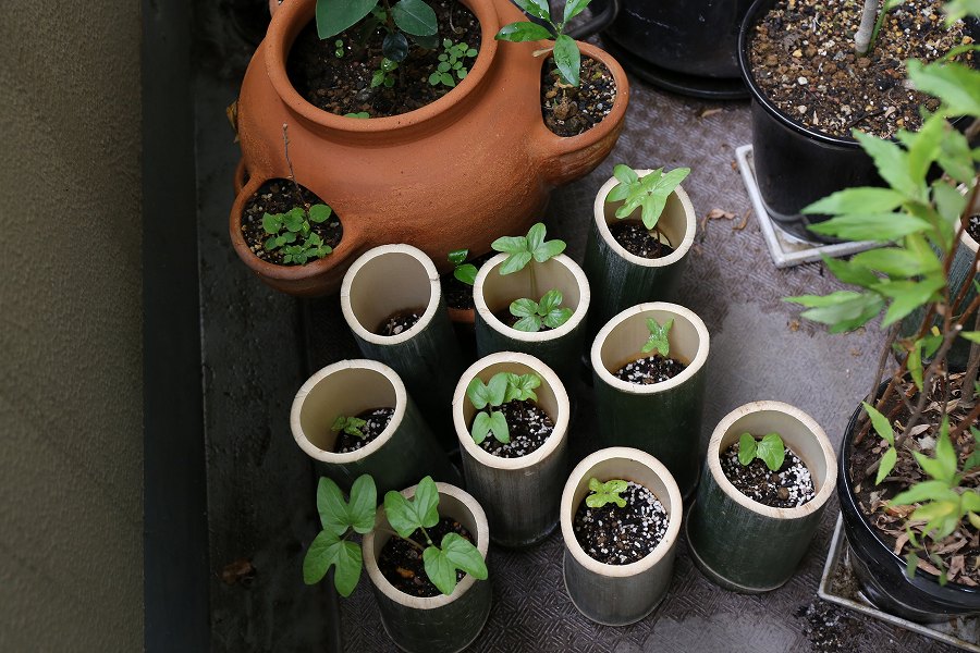 f:id:bad:20170818094138j:plain