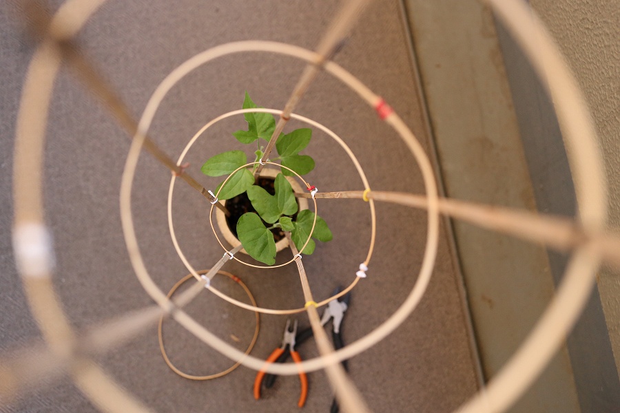 f:id:bad:20170818100457j:plain