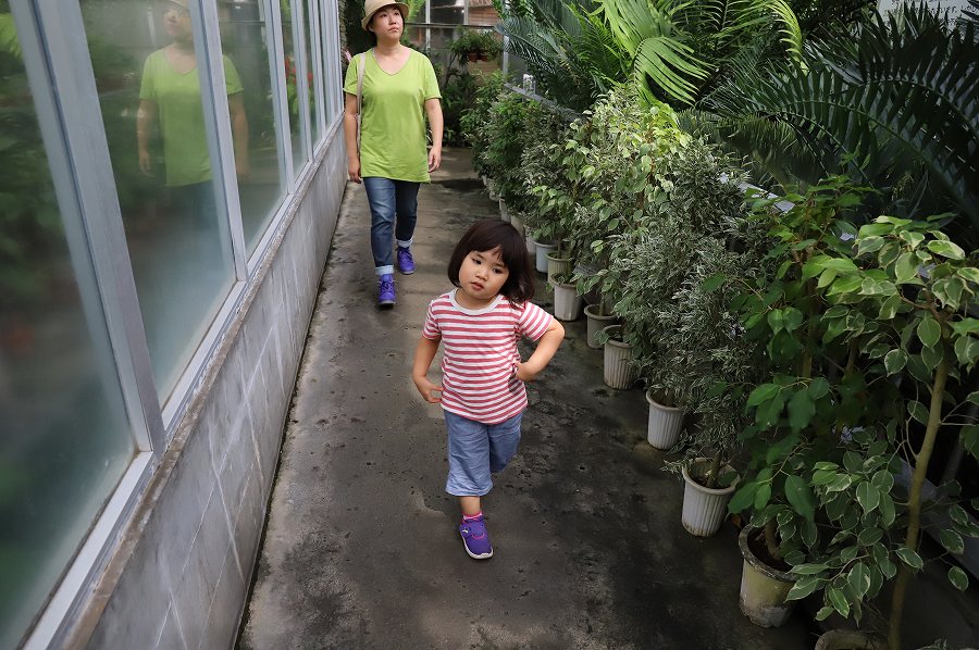 f:id:bad:20171003143407j:plain