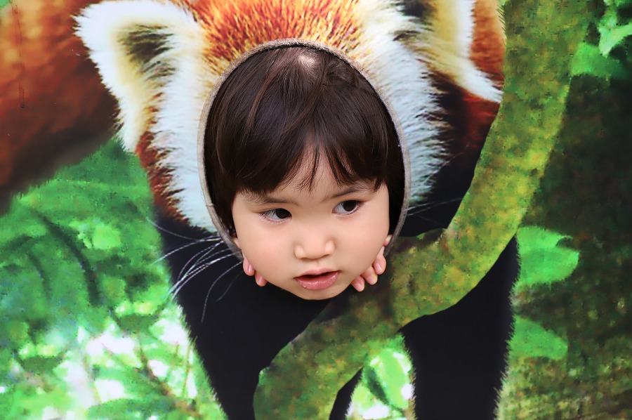 f:id:bad:20171003143425j:plain