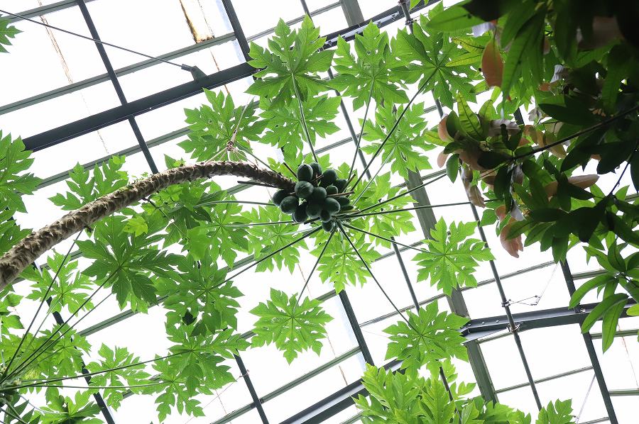 f:id:bad:20171003143449j:plain