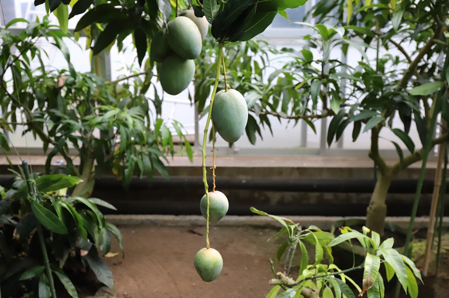 f:id:bad:20171003161859j:plain