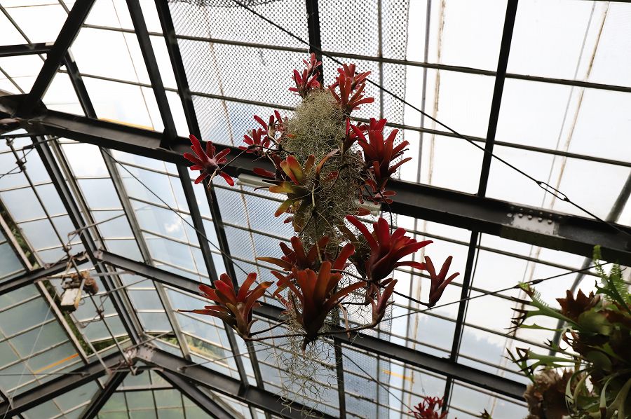 f:id:bad:20171003162032j:plain