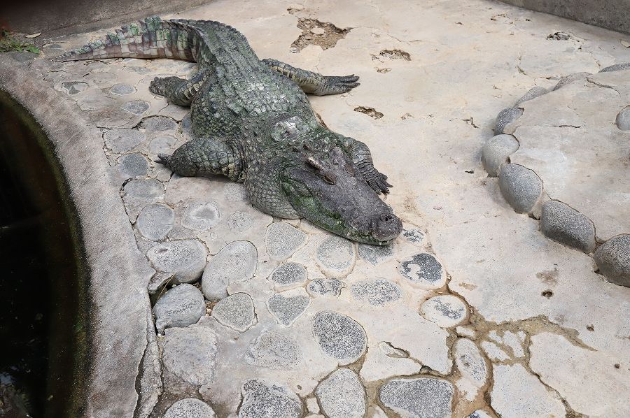 f:id:bad:20171003162311j:plain