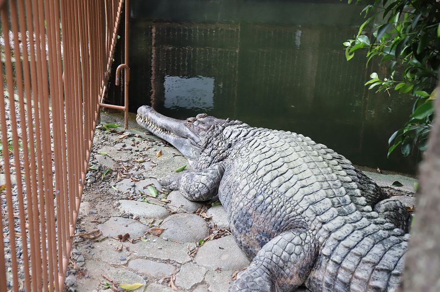 f:id:bad:20171003162325j:plain