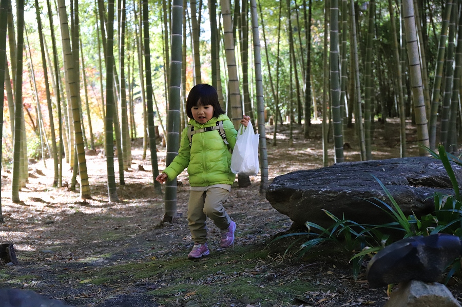 f:id:bad:20171214164843j:plain