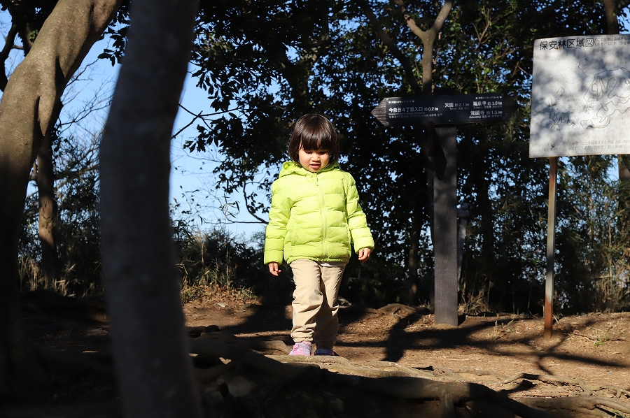 f:id:bad:20171214181906j:plain