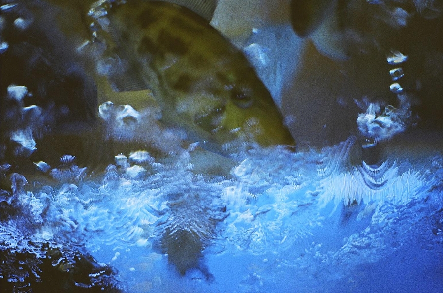 f:id:bad:20171220120249j:plain