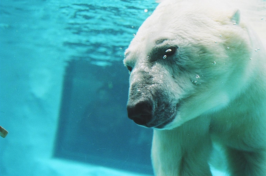 f:id:bad:20171220120829j:plain