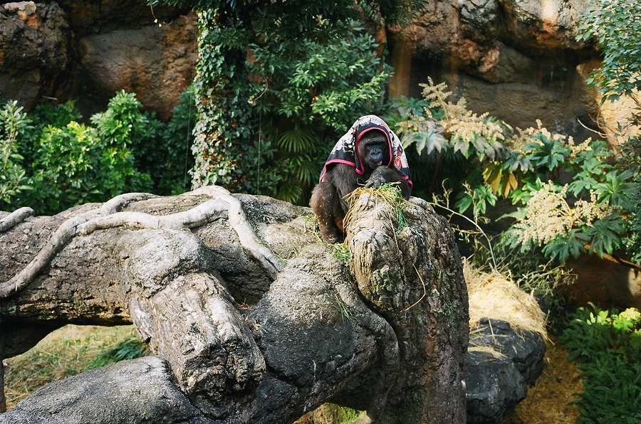 f:id:bad:20171220121127j:plain