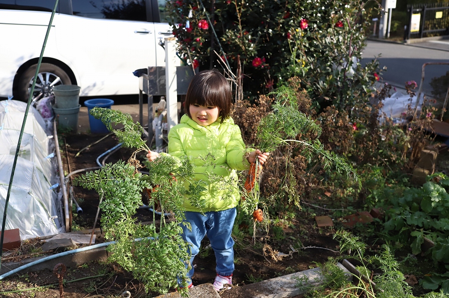 f:id:bad:20180219172548j:plain