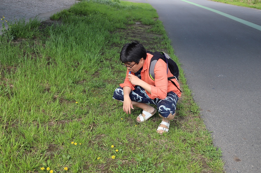 f:id:bad:20180411132844j:plain
