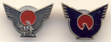 日本 大政翼賛会・大日本翼賛壮年団バッジ - 徽章はバッジにしてピン