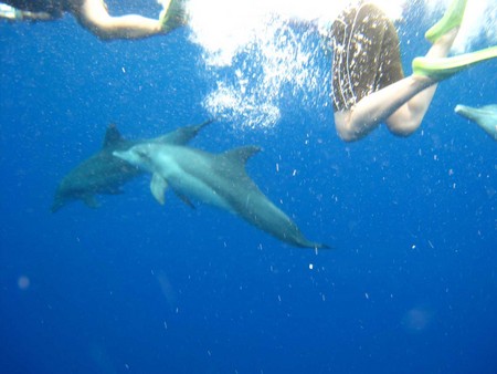 f:id:badly_tuned:20080728084906j:image