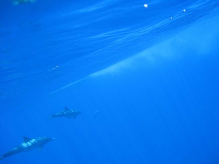 f:id:badly_tuned:20080728085618j:image