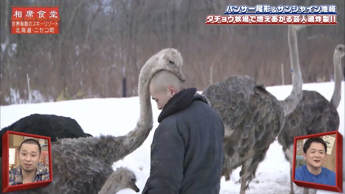 f:id:bagpipe_ps:20200407225815j:plain f:id:bagpipe_ps:20200407225815j:plain