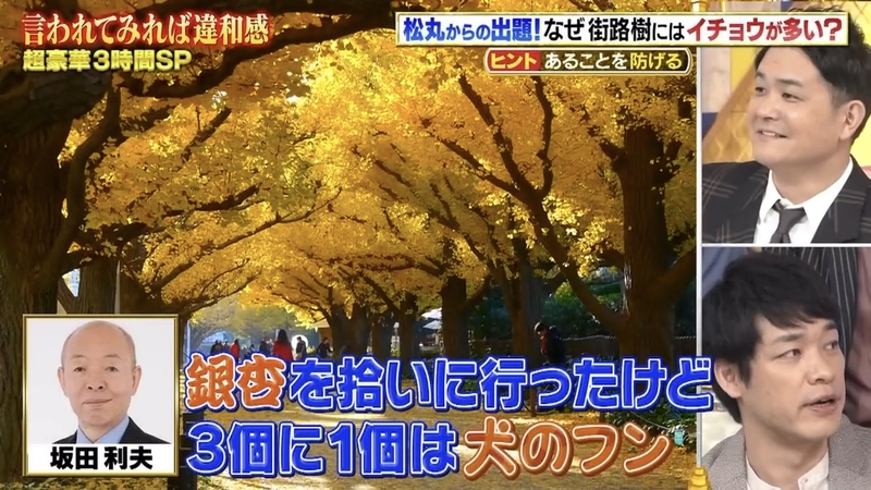 f:id:bagpipe_ps:20201005232957j:plain