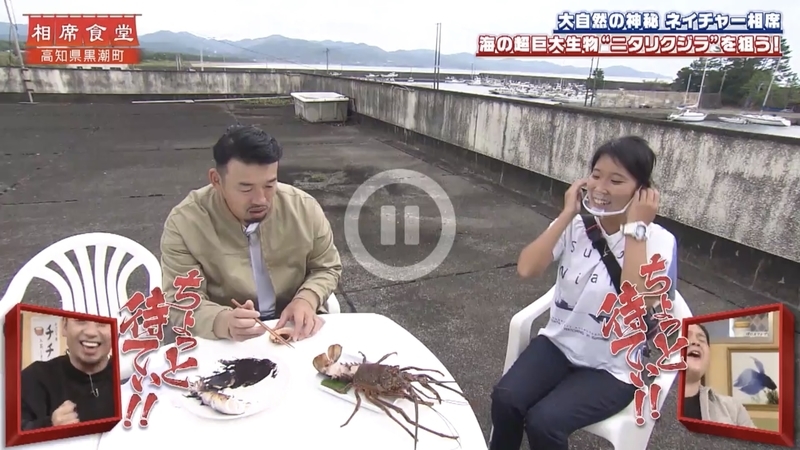 f:id:bagpipe_ps:20201110224009j:plain