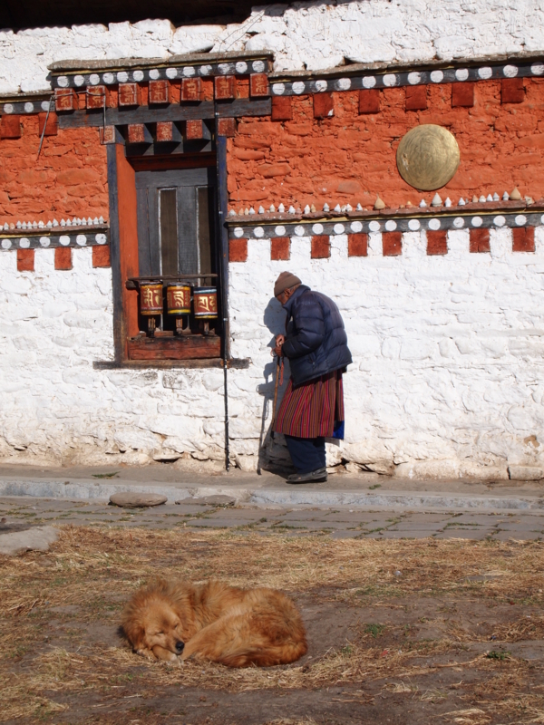 f:id:baikamo77:20121220172501j:image:w360