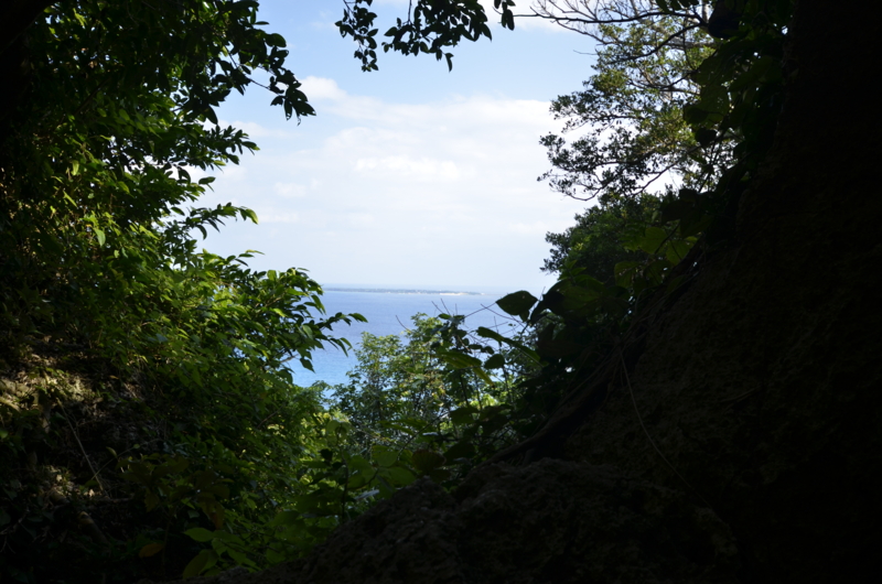 f:id:baikamo77:20140107141240j:image:w360