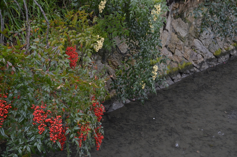 f:id:baikamo77:20140215143322j:image:w360