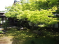 f:id:baikamo77:20140529123748j:image:medium