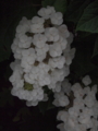 f:id:baikamo77:20140618125613j:image:medium