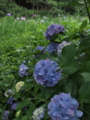 f:id:baikamo77:20140618130227j:image:medium